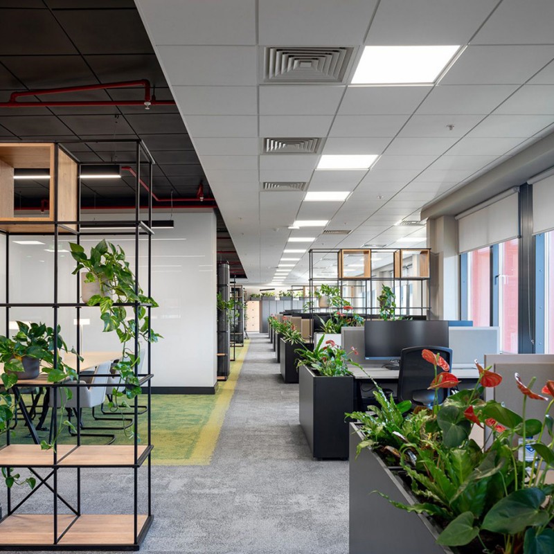 辦公室裝修綠化設(shè)計(jì)的重要性和細(xì)節(jié)點(diǎn)